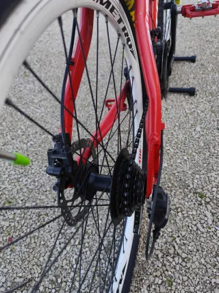 MTB Torpado 582 Light Rossa/Bianca