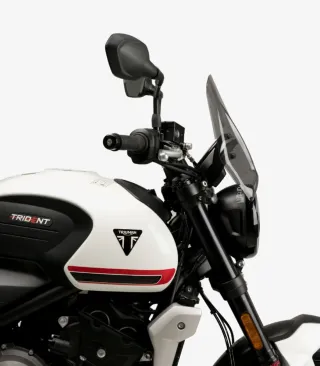 Triumph Trident 660 A2