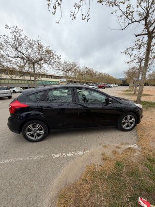 FORD Focus 1.6 TDCi 115cv Titanium 5p.