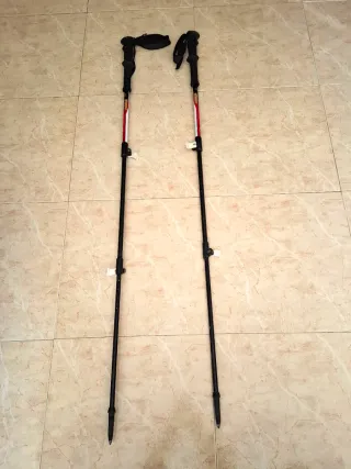 Bastones de senderismo ASOLO