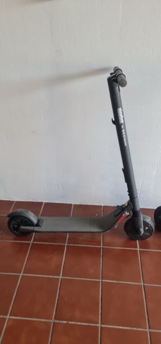 2 Monopattini Elettrici