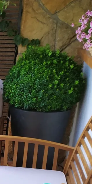 Maceta Vondom Negra 50x65cm