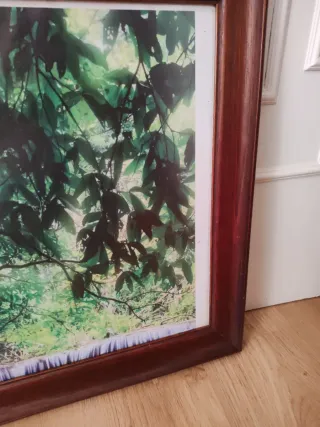 Cuadro Marco Madera Hojas Verdes