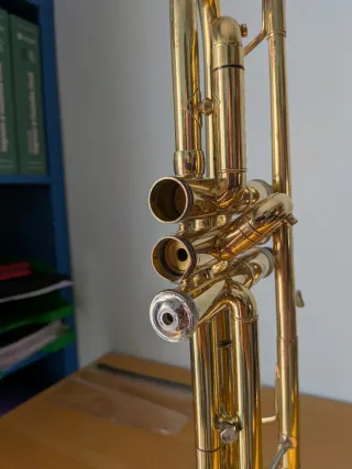 Trompeta averiada o decorativa.