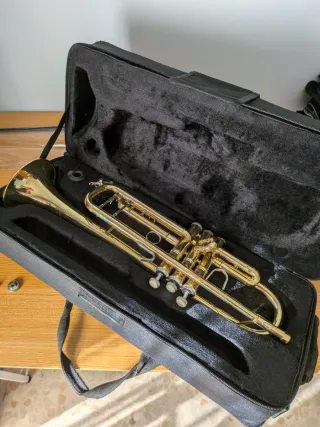 Trompeta averiada o decorativa.