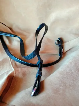 Olympus Correa Original