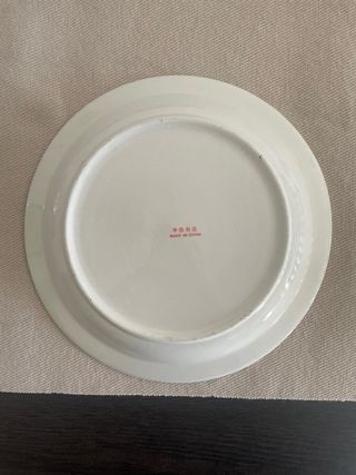 20 Platos de Porcelana con Borde Verde