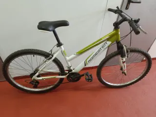 Bicicleta Romester Montaña