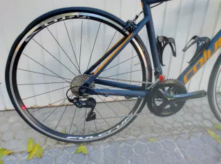 Coluer Radar Talla L Nueva