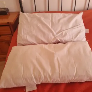 Juego de 2 almohadas blancas