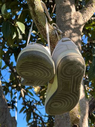 Nike Air Force 1 Beige/Marrón