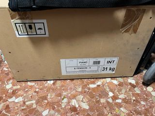 Tocadiscos Pro-Ject Xtension 9 Evolution + vinilos