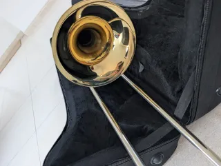 Trombón Roy Benson TT-242F