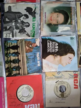 Colección vintage de vinilos LP y singles.