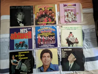 Colección vintage de vinilos LP y singles.