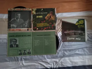 Colección vintage de vinilos LP y singles.