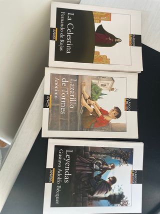 Libros ANAYA