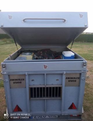 Remolque Plataforma Metálico Para perros