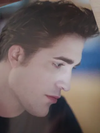 Libro crepúsculo
