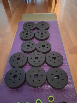 Discos de pesas 1.25kg
