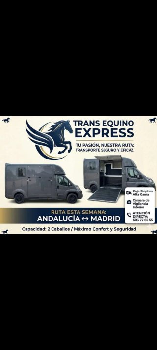 transporte de caballos
