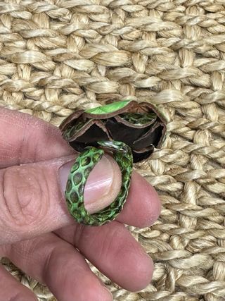 Anello vera pelle pregiata