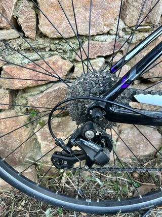 Bicicleta Carretera Trek