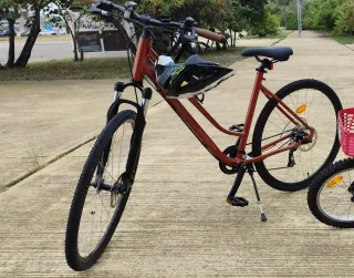 Bicicleta RIVERSIDE color marrón