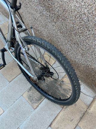 Bicicleta Globe Trotter 26