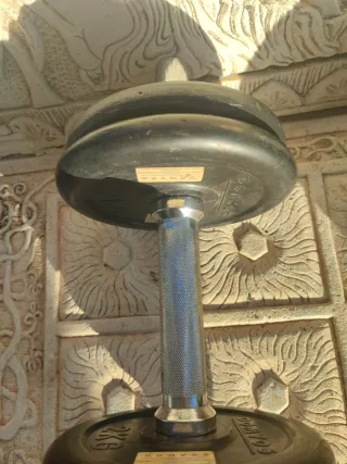 Mancuernas de gimnasio