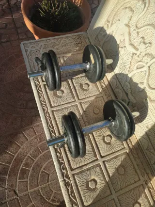 Mancuernas de gimnasio