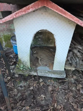 Caseta prefabricada de hormigón para perro