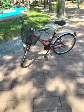 Bicicleta Urbana Urban Life