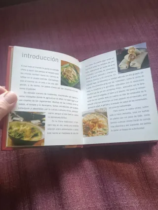 Cocina China. Más de 100 irresistibles recetas