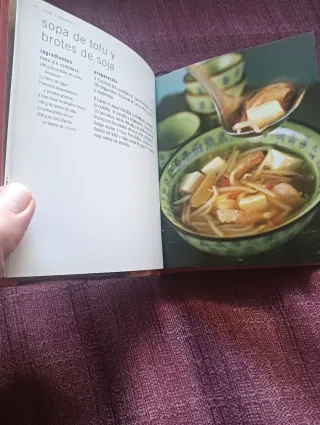 Cocina China. Más de 100 irresistibles recetas