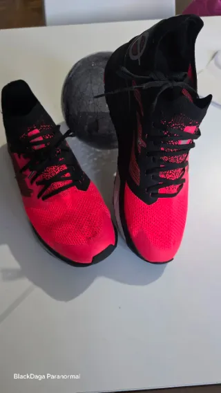 Zapatillas The North Face VECTIV 42.5