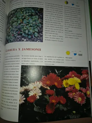 LIBRO PLANTAS DE INTERIOR Y DE BALCON