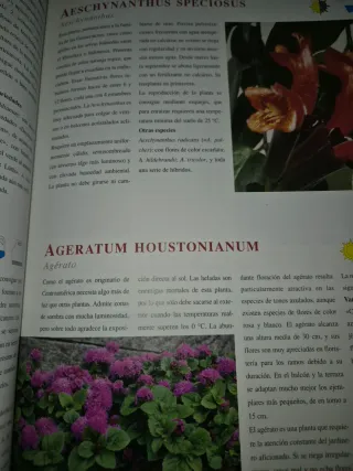 LIBRO PLANTAS DE INTERIOR Y DE BALCON