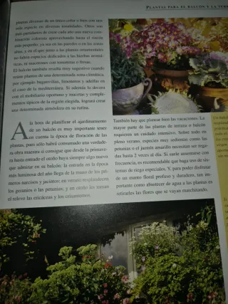 LIBRO PLANTAS DE INTERIOR Y DE BALCON