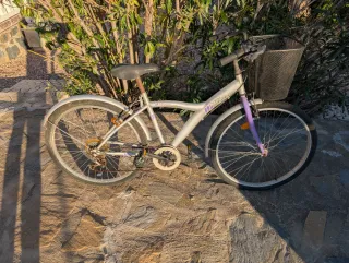 Lote 5 Bicicletas Montaña