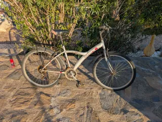 Lote 5 Bicicletas Montaña