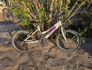 Lote 5 Bicicletas Montaña