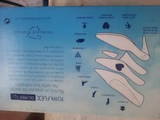 Zapatos salón piel Desireé T40 amplios