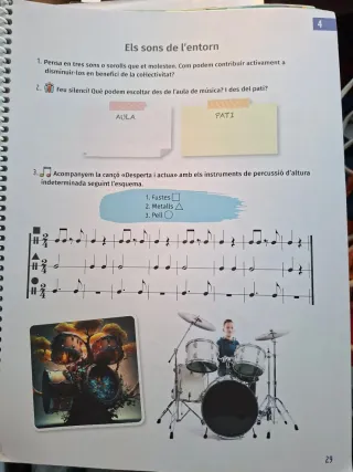 Musicant 6. Projecte Fèrtil