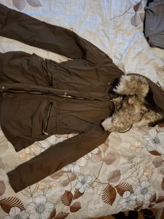 Abrigo verde con capucha talla S