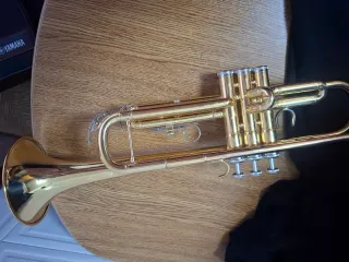 Trompeta Yamaha YTR-3335 dorada con funda