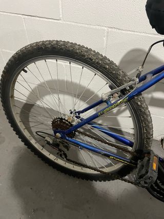 Bicicleta de Montaña Globe Trotter