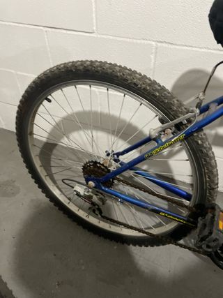 Bicicleta de Montaña Globe Trotter