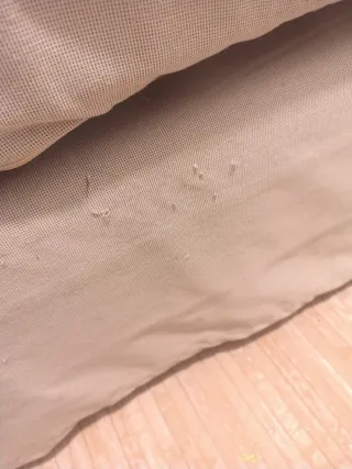 Sofá 2 plazas Erktop Ikea