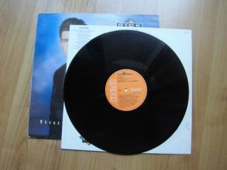 LP RICK ASTLEY WHENEVER YOU NEED SOMEBODY VINILO